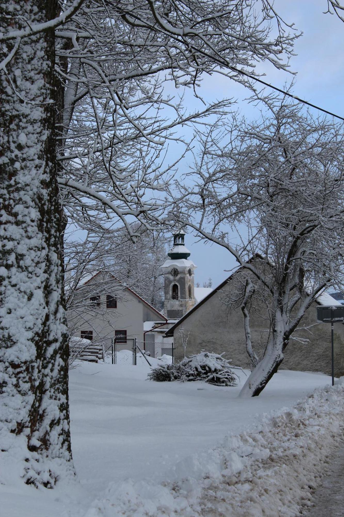 Ubytování Praschlhaus Horní Planá Exterior foto